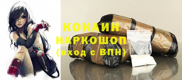 дживик Горняк