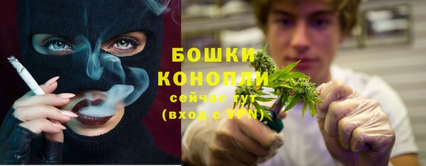 Альфа ПВП Горнозаводск
