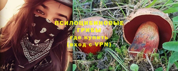 Альфа ПВП Горнозаводск
