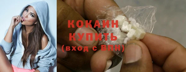 дживик Горняк