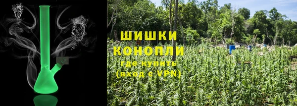 крисы Горно-Алтайск