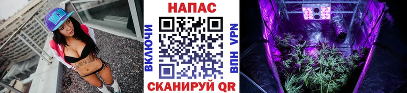 Марихуана сатива  Купить  Корсаков 